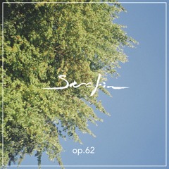 Serafin Sinfonia Op. 62 - Tokio x Shrink - Remembering Bliss
