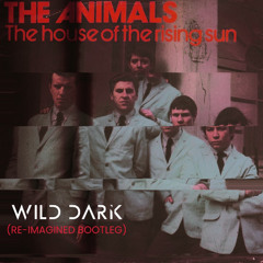 The Animals -HOUSE OF THE RISING SUN (Wild Dark Re-imagined Bootleg)wav