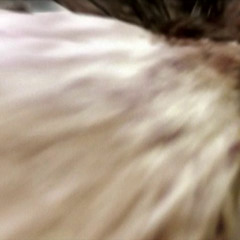 vidrio de azatlán (mashup)