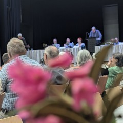 peter schmid: wie das valser rittbrett erfunden wurde...