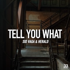 Sid Vaga & Herald "Tell You What" Original Mix (teaser)