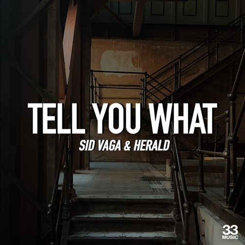 Sid Vaga & Herald "Tell You What" Dan McKie Remix (teaser)