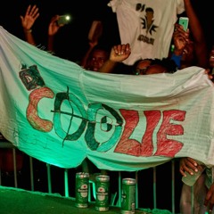 DJ COOLIE AFRO ,DANCEHAL AND A LIL SEG 2020 MIXTAPE
