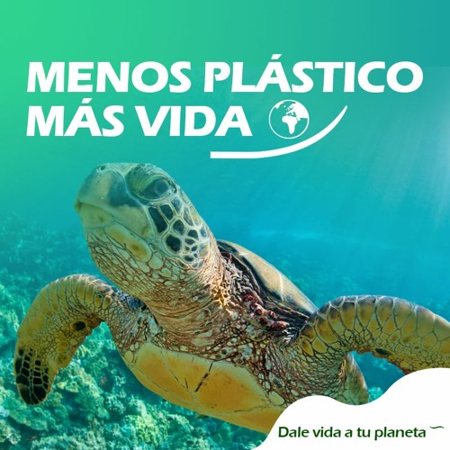 Stream episode Bolsas reutilizables by Menos plástico, Más vida podcast |  Listen online for free on SoundCloud