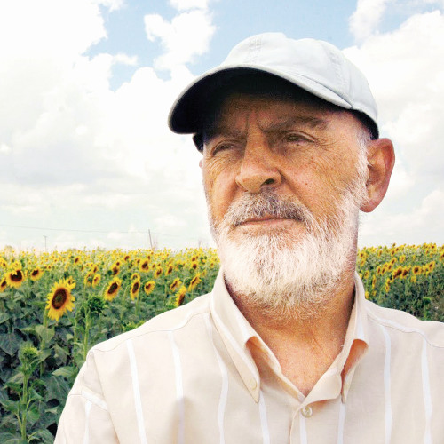 Mustafa Kutlu - Sarnıçlara dönmek