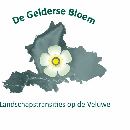 Podcast De Gelderse Bloem - landschapstransities op de Veluwe