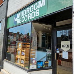 The Arts Section: Vinyl Resurgence Continues