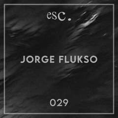 esc. 029 | Jorge Flukso