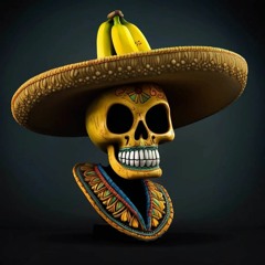 Comfortably Numb - Maquette Acoustique