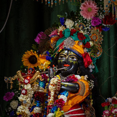 Mukunda - Janmastami Eve Night Shift - 8.25.24