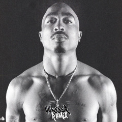 2Pac - Thug Style (44388er Remix)