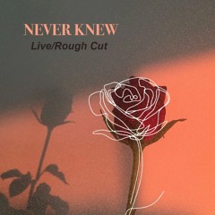 Never Knew (Live/Rough Cut)