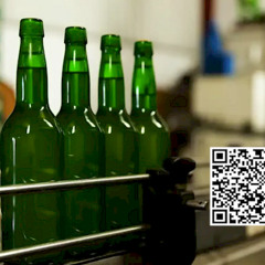 Brewery Bottlenecks: Why Your Beverage Line Is Bleeding Profit and How to Fix It Fast