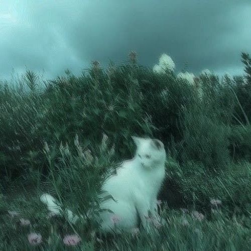 [SAD] FAIRY - ambient + destroy lonely type beat