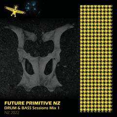Future Primitive NZ Drum & Bass Sessions Mix 22