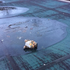 abandoned furby