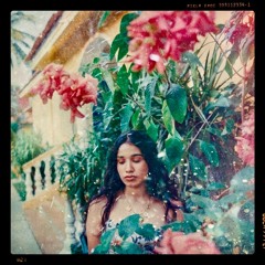 TULUM TREEHOUSE 18: Esa Chica Solitaria ((Boleros mexicanos y cubanos más))