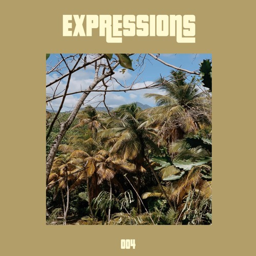 Expressions IV