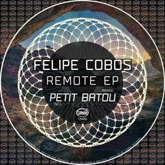 Felipe Cobos - Remote (Petit Batou Remix) Preview