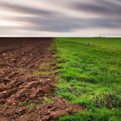 Reşîd Sofî - Felsefa Axê