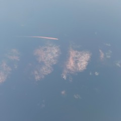 Pilot (where do I start)