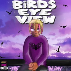 Birds Eye View (feat. TheHxliday)