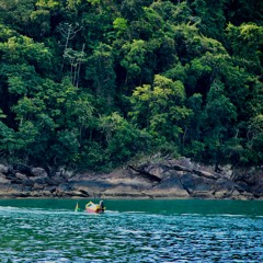 Have You Met Miss Jones