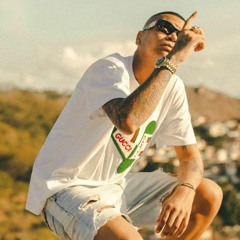 MC DUDUZINHO - HOJE VOCÊ É MINHA CURA