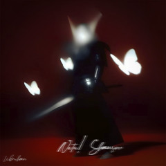 Netu! Shansov (prod. babydrugg)