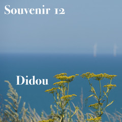 Souvenir 12