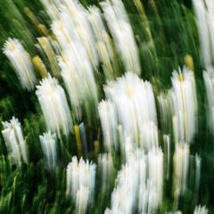 REMY HORIZON-AFTERGLOW 9.12.2025