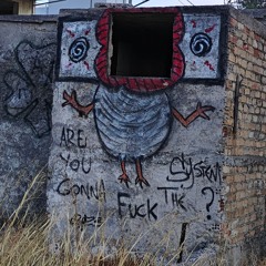 are you gonna fuck the system?