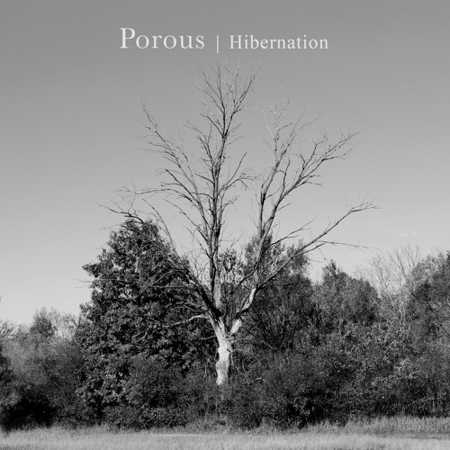 Stream Porous Listen to Hibernation playlist online for free on