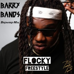 Flocky Freestyle (Broward Mix)