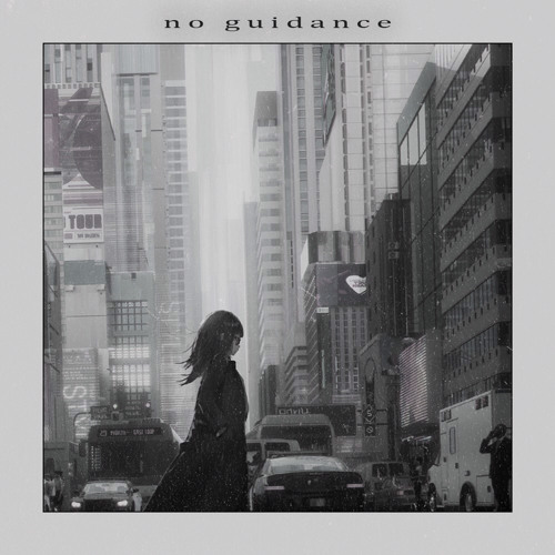 No Guidance