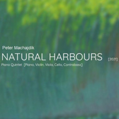 Machajdik NATURAL HARBOURS [2021] for piano, violin, viola, double bass and piano