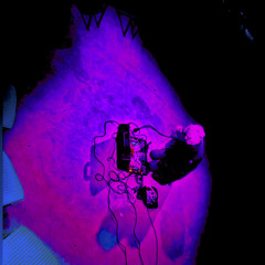 Amsterdam 050323 Part 2 (Live)