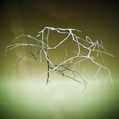 [Braket]