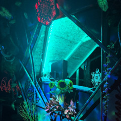 Reikja @ Waldfunk 2025 -Spiritus Open Air-