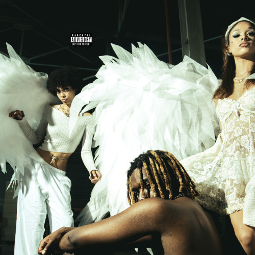 dexter wtm (fiendz x mikul)