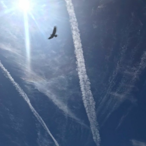 Stream Swiss Cheese Brain by JP Listen online for free on SoundCloud