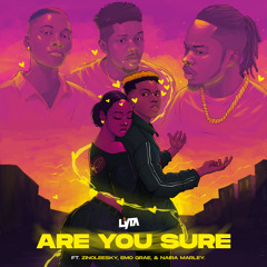 Are You Sure (feat. Naira Marley, Emo Grae & Zinoleesky)