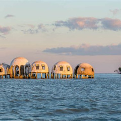 Best Unusual Things To Do In Florida Tours Review