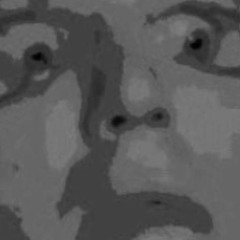 (Internal Screaming) [Kitsch Niche Cache 0013]