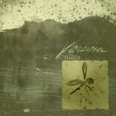Copy of Calliope