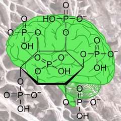 Antinutrient