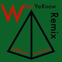 What Ya Know Remix ft. Exodus Bey (Prod by Mr. Medley)