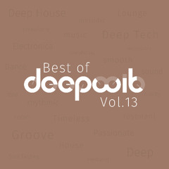 Best of DeepWit, Vol. 13