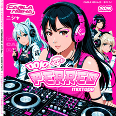 DOJO PERREO - DJ CARLA NISHA (Moombahton, Dembow, Dancehall, Afrobeats...)