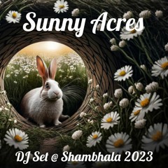 Sunny Acres Dj Set Down the Rabbithole at Su Casa Saturday Night @ Shambhala 2023